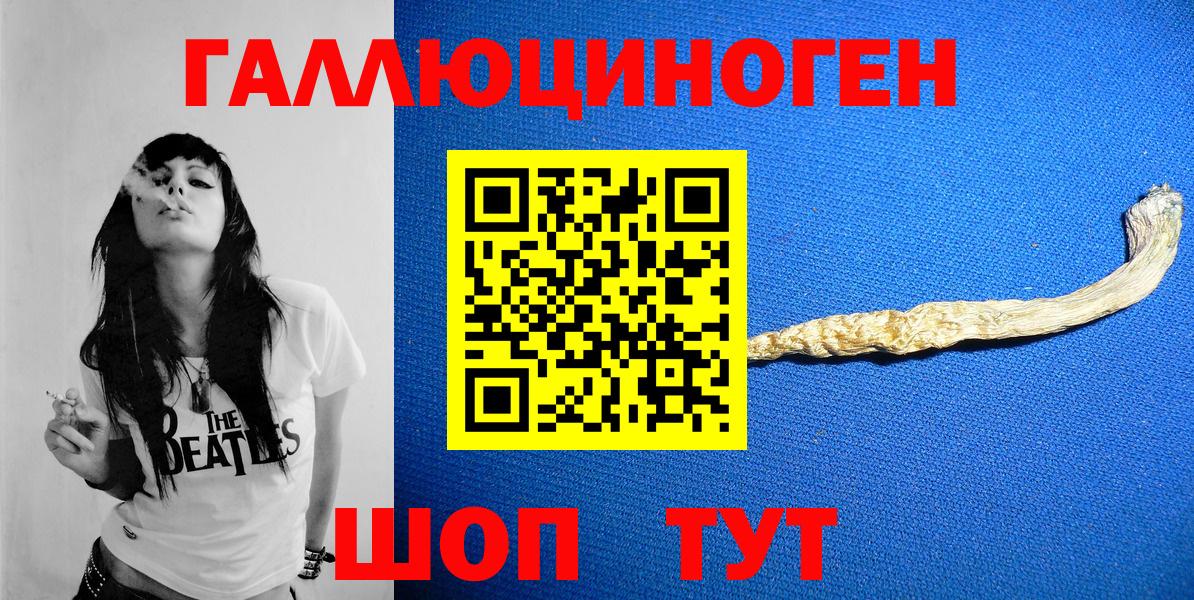 Ржев  Галлюциногенные грибы Cubensis  Вход с VPN 